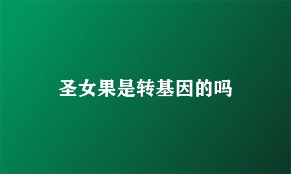 圣女果是转基因的吗