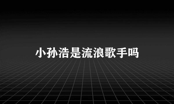 小孙浩是流浪歌手吗