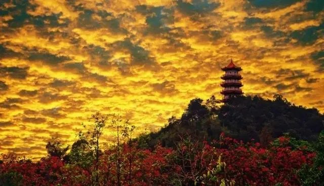 肇庆四会旅游景点大全?