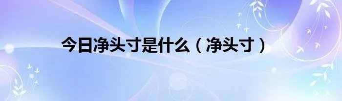 今日净头寸是什么（净头寸）