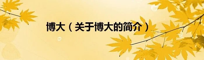 博大（关于博大的简介）