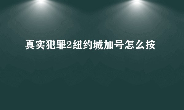 真实犯罪2纽约城加号怎么按