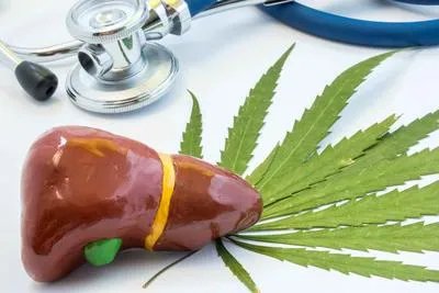 肝血管瘤的检查方法有哪些