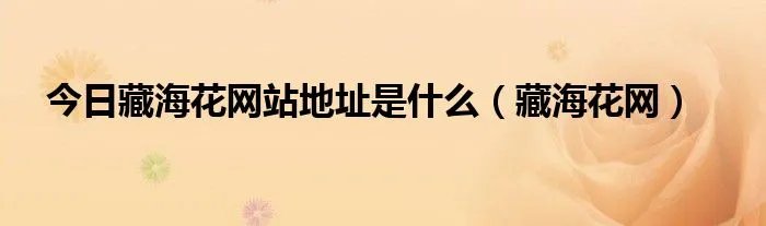 今日藏海花网站地址是什么（藏海花网）