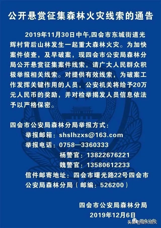 高明山火是什么原因引起的?