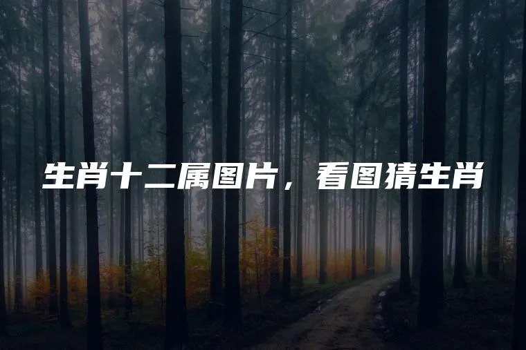 生肖十二属图片,看图猜生肖