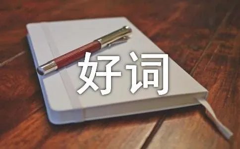 写人的好词好句好段