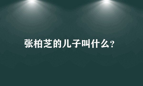 张柏芝的儿子叫什么？