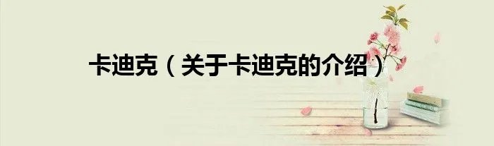 卡迪克(关于卡迪克的介绍)