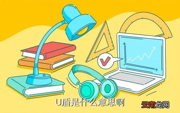 u盾是什么意思，U盾是什么意思啊