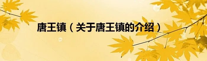 唐王镇（关于唐王镇的介绍）