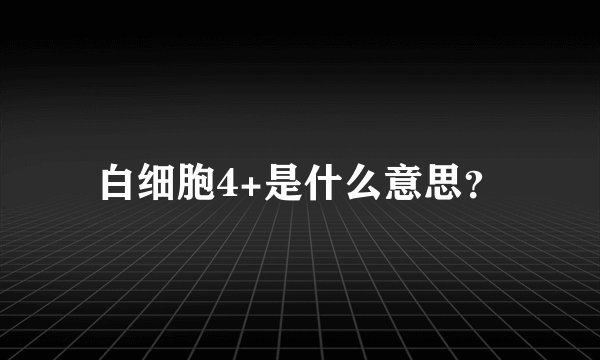 白细胞4+是什么意思？