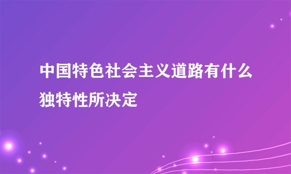 中国特色社会主义道路有什么独特性所决定