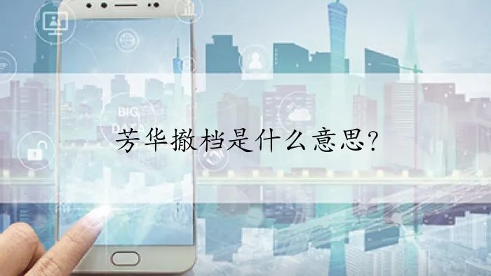 芳华撤档是什么意思?