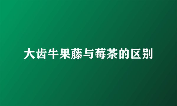 大齿牛果藤与莓茶的区别