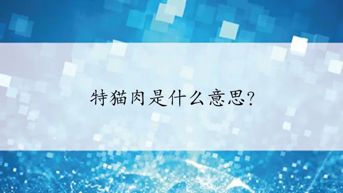 特猫肉是什么意思?