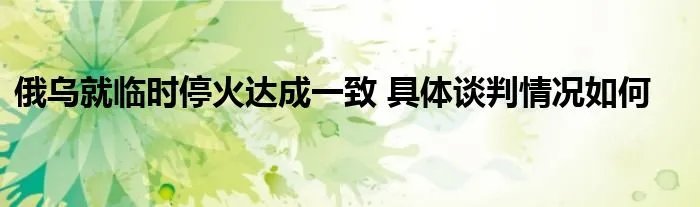 俄乌就临时停火达成一致 具体谈判情况如何