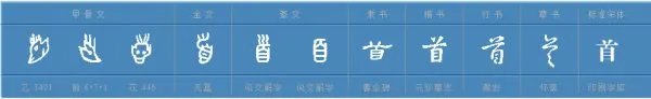 首组词有哪些?