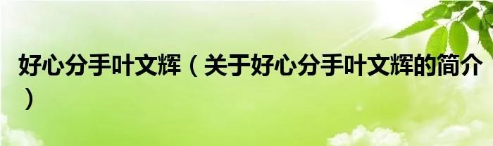 好心分手叶文辉（关于好心分手叶文辉的简介）
