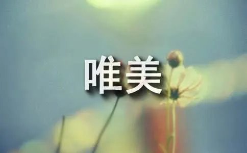 上海雪景唯美散文