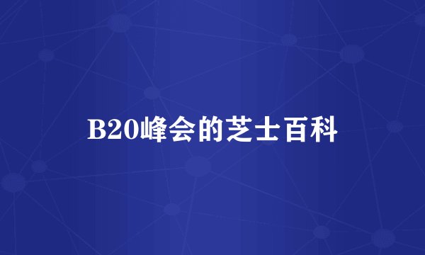 B20峰会的芝士百科