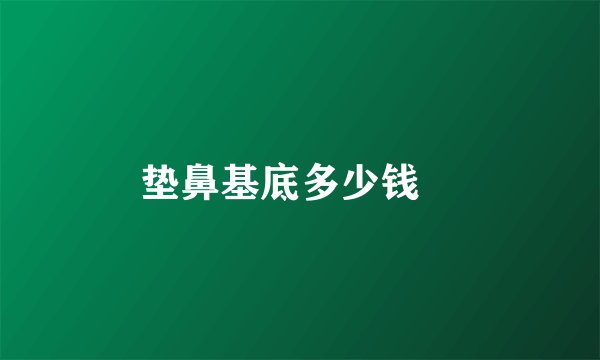 垫鼻基底多少钱	