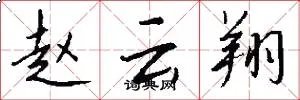 赵云翔