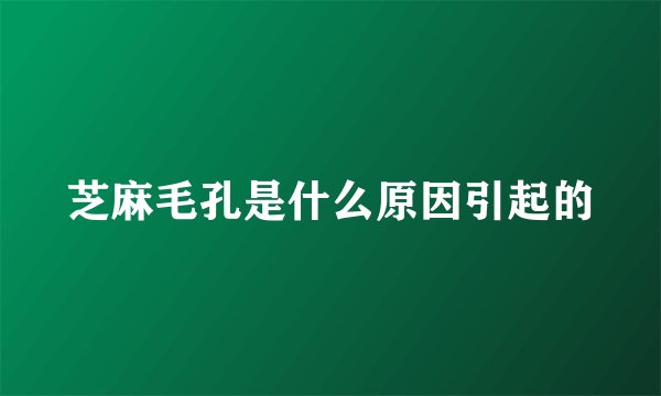 芝麻毛孔是什么原因引起的