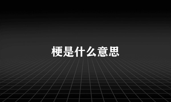 梗是什么意思