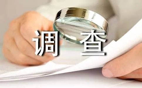 调查报告作文