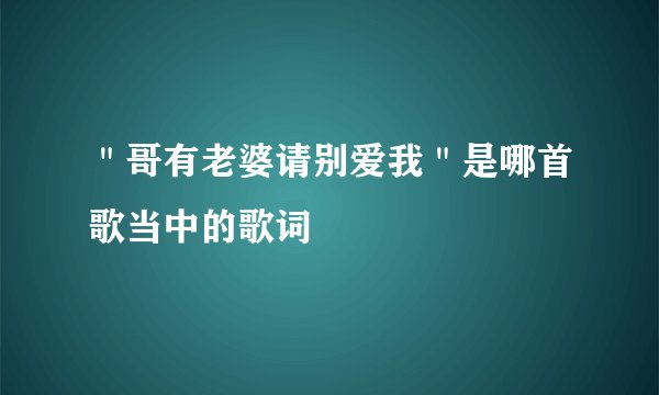 ＂哥有老婆请别爱我＂是哪首歌当中的歌词