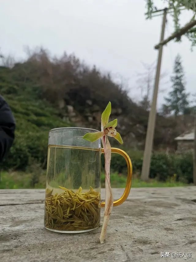 正宗信阳毛尖价格多少钱一斤?