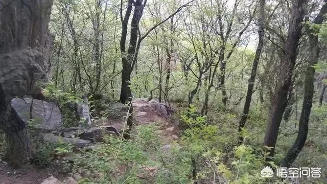 想去河南登封旅游2天,该怎么规划?