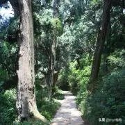 广元还有哪些旅游景点推荐?
