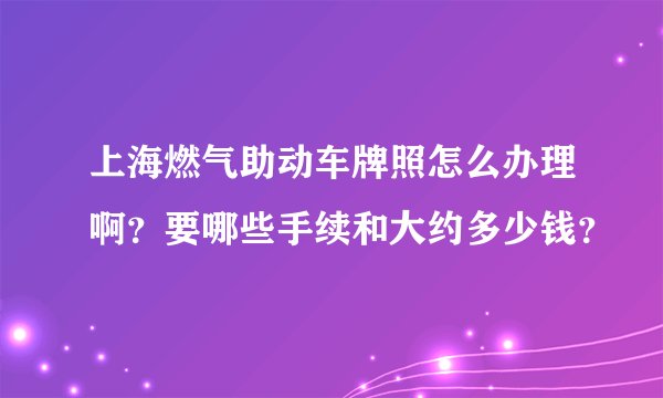 上海燃气助动车牌照怎么办理啊?要哪些手续和大约多少钱?