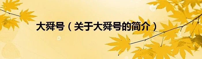 大舜号（关于大舜号的简介）