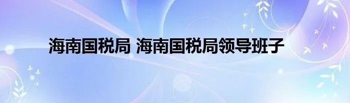 海南国税局 海南国税局领导班子