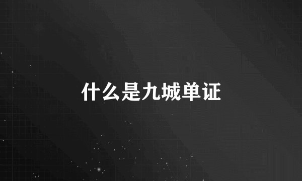 什么是九城单证