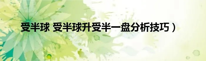 受半球 受半球升受半一盘分析技巧)