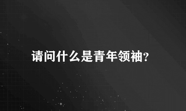 请问什么是青年领袖？