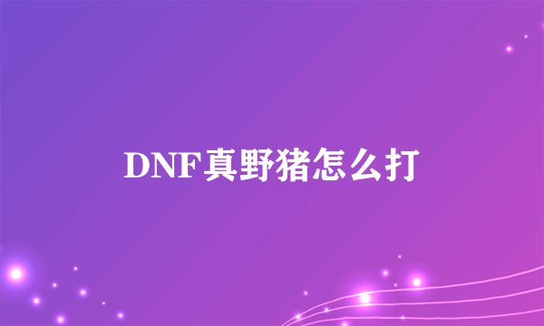DNF真野猪怎么打
