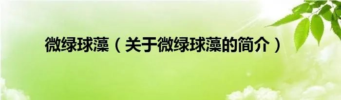 微绿球藻（关于微绿球藻的简介）