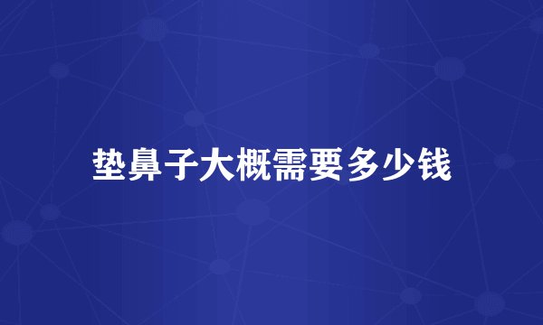 垫鼻子大概需要多少钱