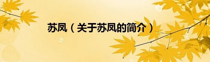 苏凤（关于苏凤的简介）