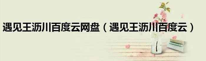 遇见王沥川百度云网盘（遇见王沥川百度云）