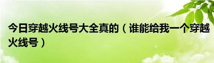 今日穿越火线号大全真的（谁能给我一个穿越火线号）
