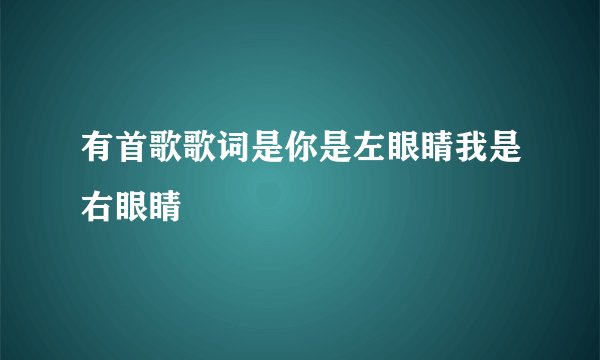 有首歌歌词是你是左眼睛我是右眼睛