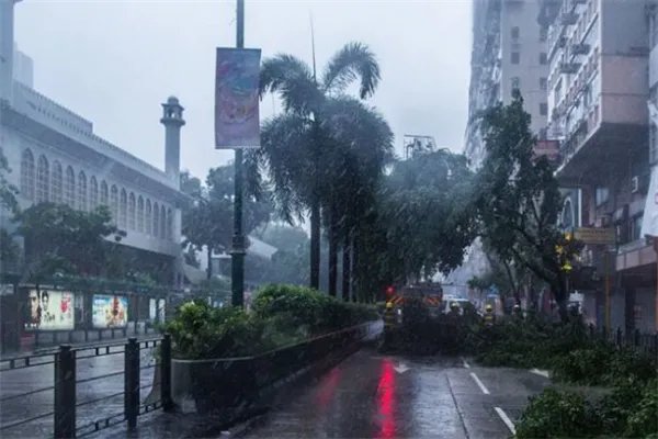 世界上最强台风排名：诺拉上榜 ，第四损失了6.94亿美元