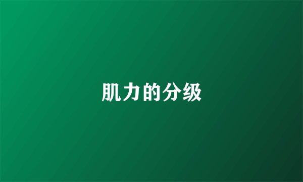 肌力的分级