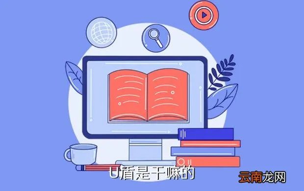 u盾是什么意思,U盾是什么意思啊